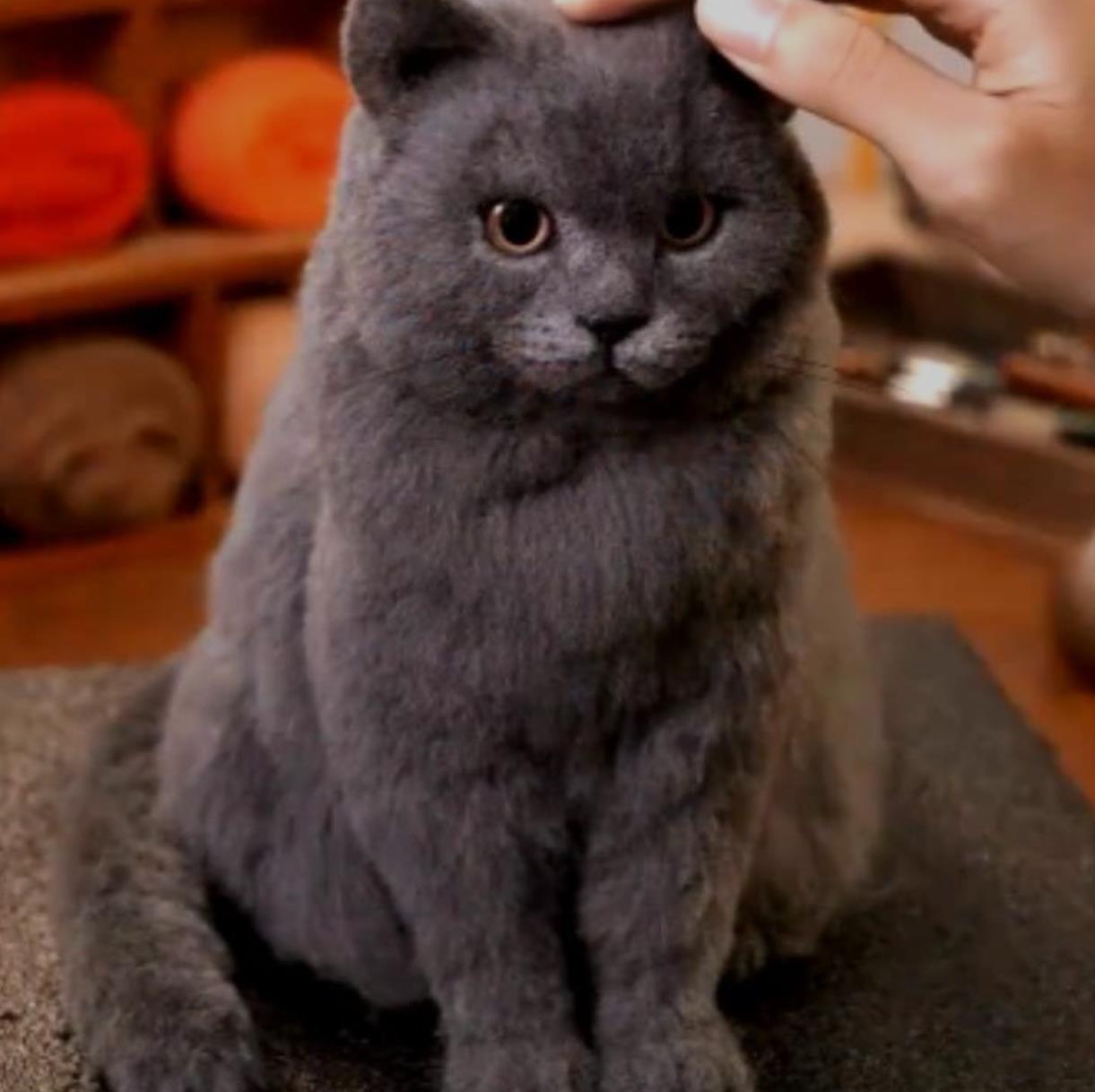 Figurines - Cat
