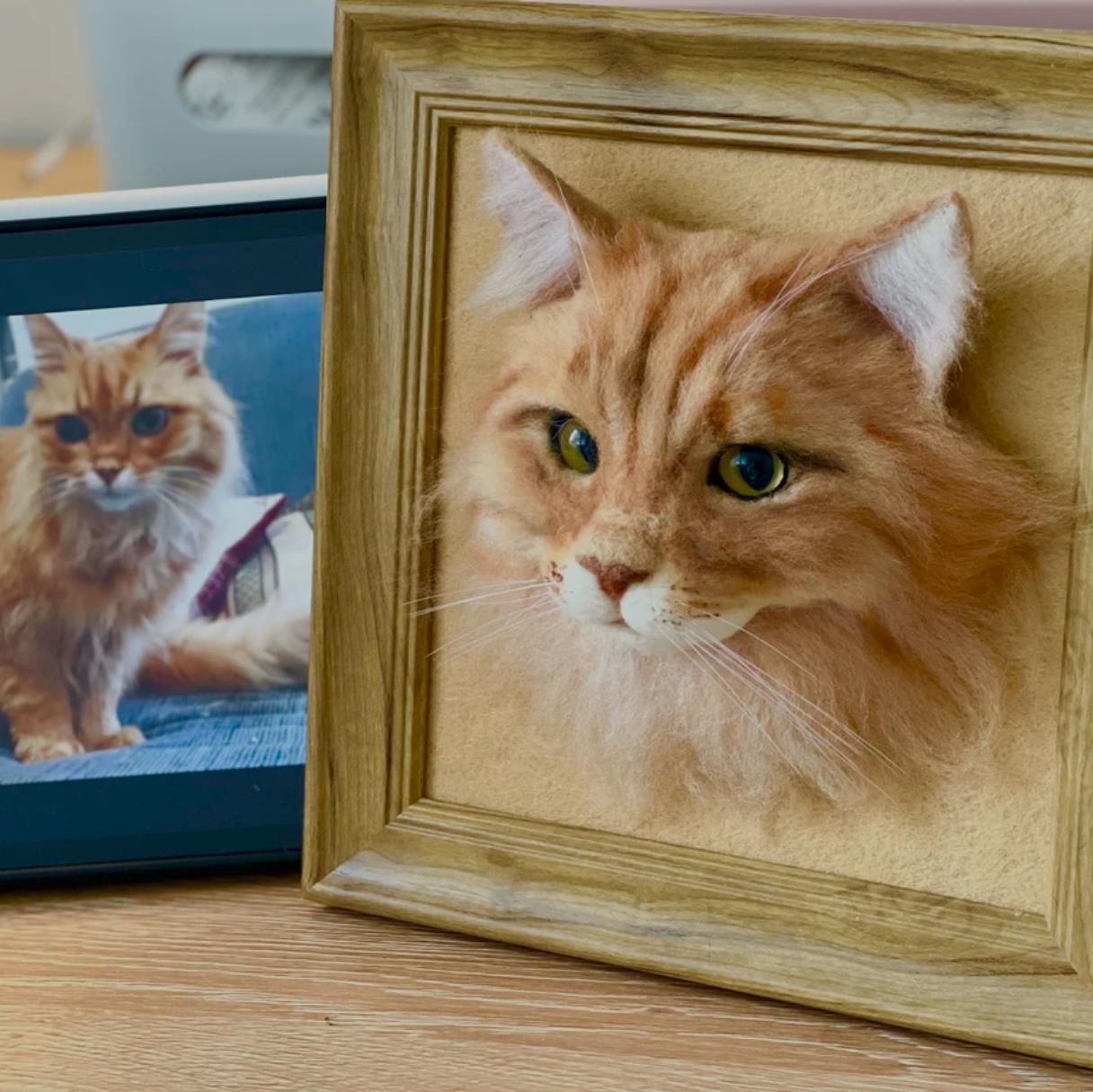 3D Portraits - Cat