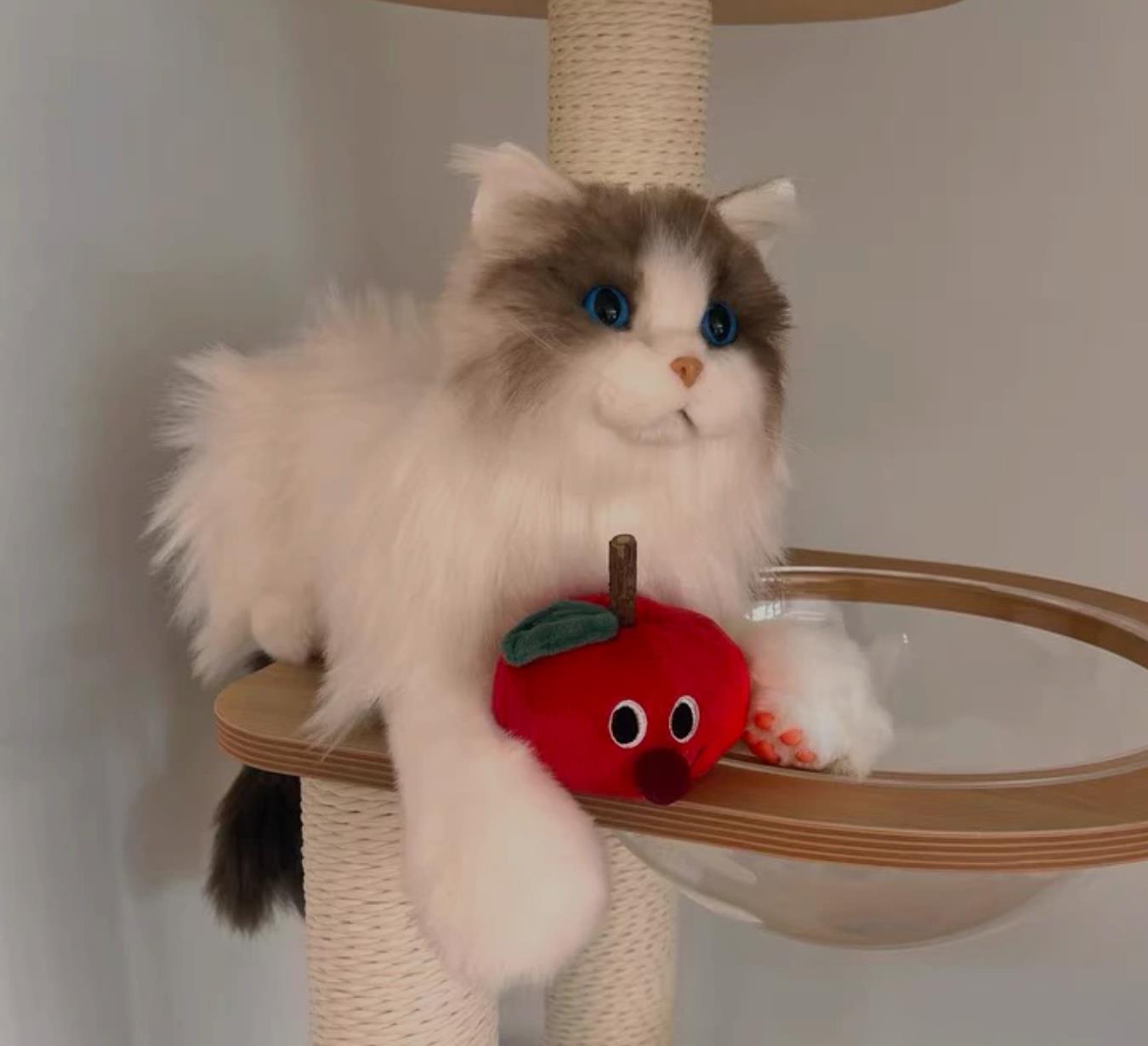 Figurines - Cat